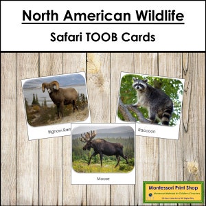Nordamerikanische Wildlife Safari TOOB Karten - druckbare Montessori Karten - digitaler Download
