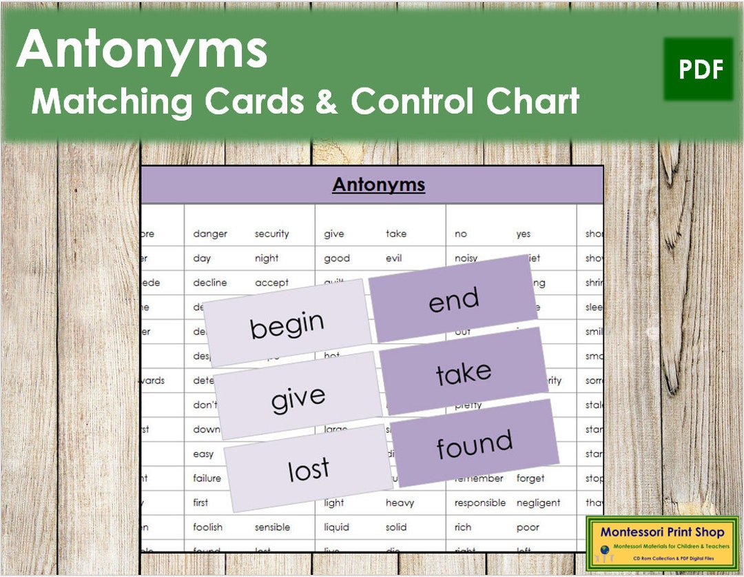 Antonym Cards color-coded Montessori Grammar Printable - Etsy