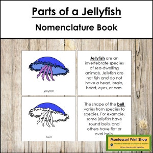 Libro de nomenclatura de las partes de una medusa - Zoología Montessori - Materiales Montessori imprimibles - Descarga digital