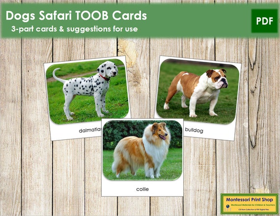 Dogs Safari TOOB Cards Printable Montessori Cards Digital | Etsy