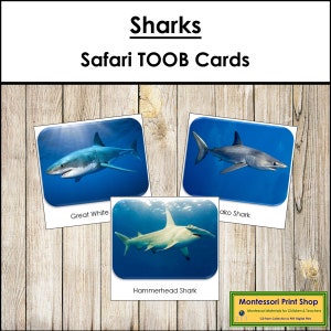 Hai Safari TOOB Karten - Montessori Karten zum Ausdrucken - Digitaler Download