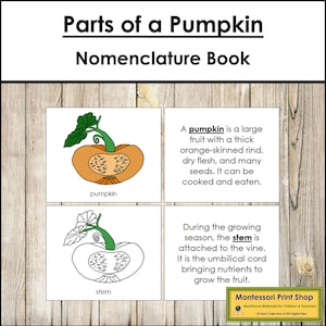 Teile eines Kürbis Nomenklaturbuchs - Montessori Botanik - Druckbare Montessori Materialien - Digitaler Download
