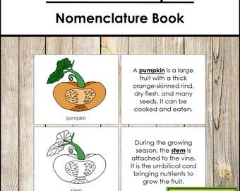 Nomenclature des parties d'une citrouille - Botanique Montessori (téléchargement numérique)