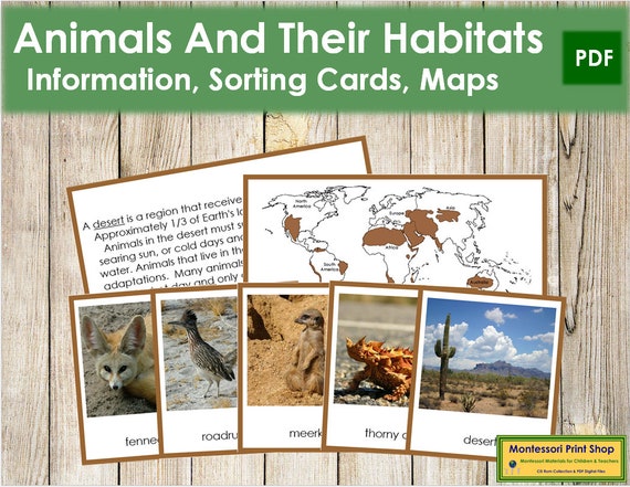 Animals and Their Habitats color-coded Zoology Printable - Etsy New Zealand Animals and Their Habitats color-coded Zoology Printable - Etsy New Zealand