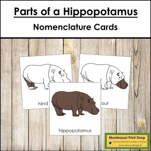 Tarjetas de 3 partes con la nomenclatura de las partes de un hipopótamo - Zoología Montessori - Materiales Montessori imprimibles - Descarga digital