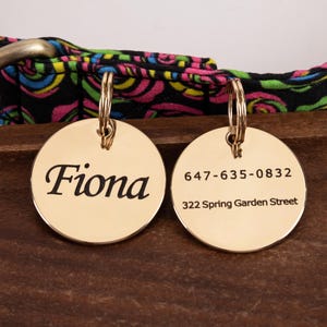 May include: Two gold-colored, round pet ID tags. One tag has the name "Fiona" in black script. The other tag displays a phone number and street address in black text. The tags are attached to a colorful collar.