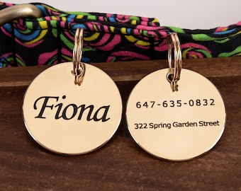 May include: Two gold-colored, round pet ID tags. One tag has the name "Fiona" in black script. The other tag displays a phone number and street address in black text. The tags are attached to a colorful collar.