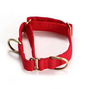 Martingale Dog Collar Premium Comfort Organic Cotton Adjustable Martingale Puppy Collar Poinciana Red Color