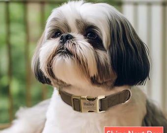 Engraved Dog Collar Personalized With Name Address Number Text Cotton Pet Collar customizable Puppy collar Military Green Color