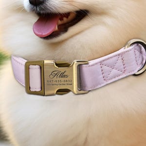 Collier pour chien gravé personnalisé avec prénom, numéro d'adresse, texte, coton, collier pour animal de compagnie personnalisable, collier pour chiot, couleur rose