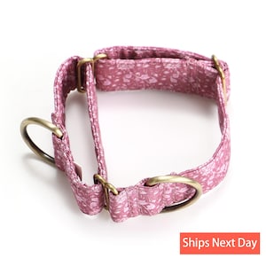 May include: A dusty rose fabric pet collar featuring a small white floral pattern. The collar includes antique brass-toned metal hardware, including two D-rings for leash attachment and a sliding adjuster for sizing, arranged in a martingale style.