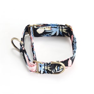 Martingale Dog Collar Premium Comfort Organic Cotton Adjustable Martingale Puppy Collar Tropical Pinky Color