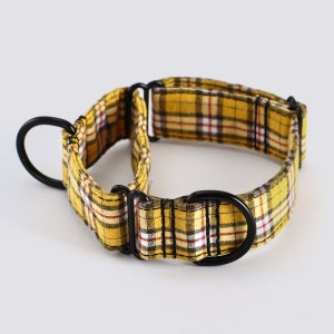 Martingale Dog Collar Premium Comfort Organic Cotton Adjustable Black Hardware Martingale Puppy Collar MacPherson Hunting Yellow