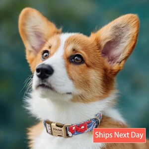 Engraved Dog Collar Personalized With Name Address Number Text Cotton Pet Collar customizable Puppy collar Rhododendron Color
