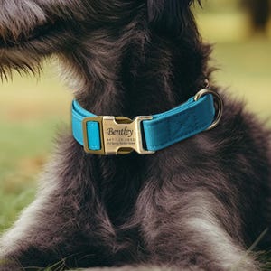 Engraved Dog Collar Personalized With Name Address Number Text Cotton Pet Collar customizable Puppy collar Peacock Blue Color
