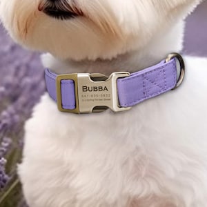 Engraved Dog Collar Personalized With Name Address Number Text Cotton Pet Collar customizable Puppy collar Lavender Color