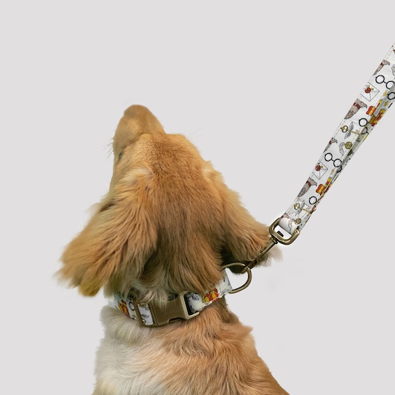 Engraved Dog Collar Personalized With Name Address Number Text Cotton Pet Collar customizable Puppy collar Wizard School Color