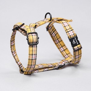Personalized Pet No Pull Harness Organic Cotton handcrafted Harness Black Hardware Puppy Dog Wear MacPherson Hunting Yellow