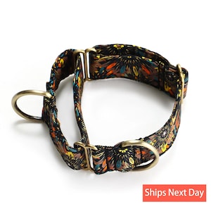 May include: A martingale dog collar featuring a black fabric base with a vibrant, multi-colored floral pattern in shades of orange, yellow, and teal. The collar includes antique brass-toned metal hardware, including two D-rings and two sliders.