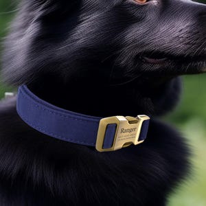 Engraved Dog Collar Personalized With Name Address Number Text Cotton Pet Collar customizable Puppy collar Royal Blue Color