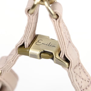 Engraved Step In Dog Harness Organic Cotton Full Sizes Personalized Pet Harness Name Address Number For Everyday Walking Beige Color