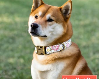 May include: A Shiba Inu dog wearing a white dog collar featuring a pink and yellow floral pattern. The collar includes a brass-colored metal buckle engraved with the name EMMA and a phone number, along with a matching brass-colored metal D-ring.