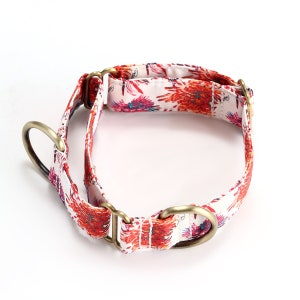 Martingale Dog Collar Premium Comfort Organic Cotton Adjustable Martingale Puppy Collar Blooms Color