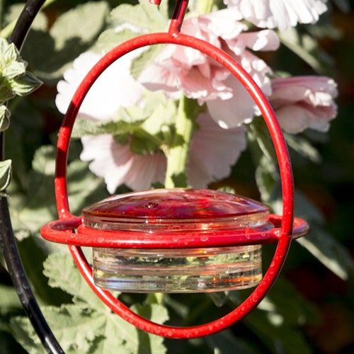 Three Station Hummingbird Feeder Bee and Wasp Proof Solid Etsy