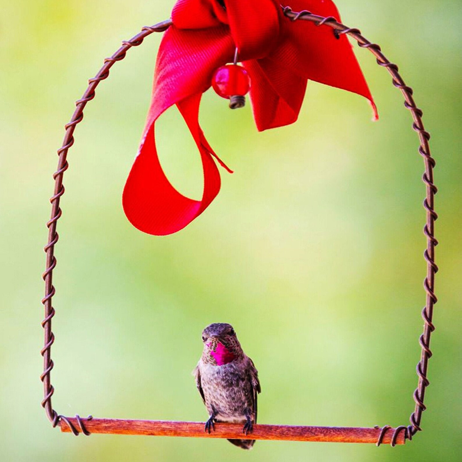 Hummingbird Swing Made of Copper and Wood Hummingbirds Etsy