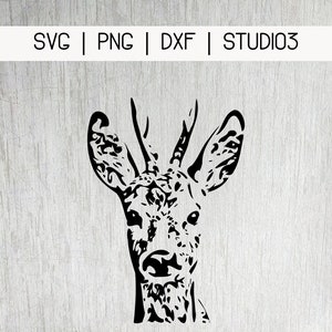 roebuck plotting file PNG, SVG, DXF, studio3