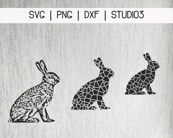 hare plotting file PNG, SVG, DXF, studio3