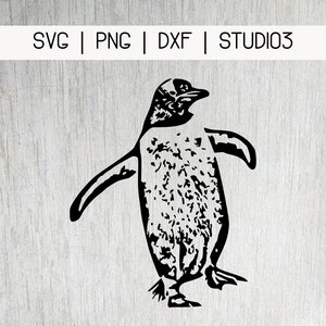 May include: Black and white silhouette of a penguin standing on a white background.