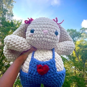 Crochet Chunky Bunny Rabbit |Amigurumi Rabbit | Stuffed Animal