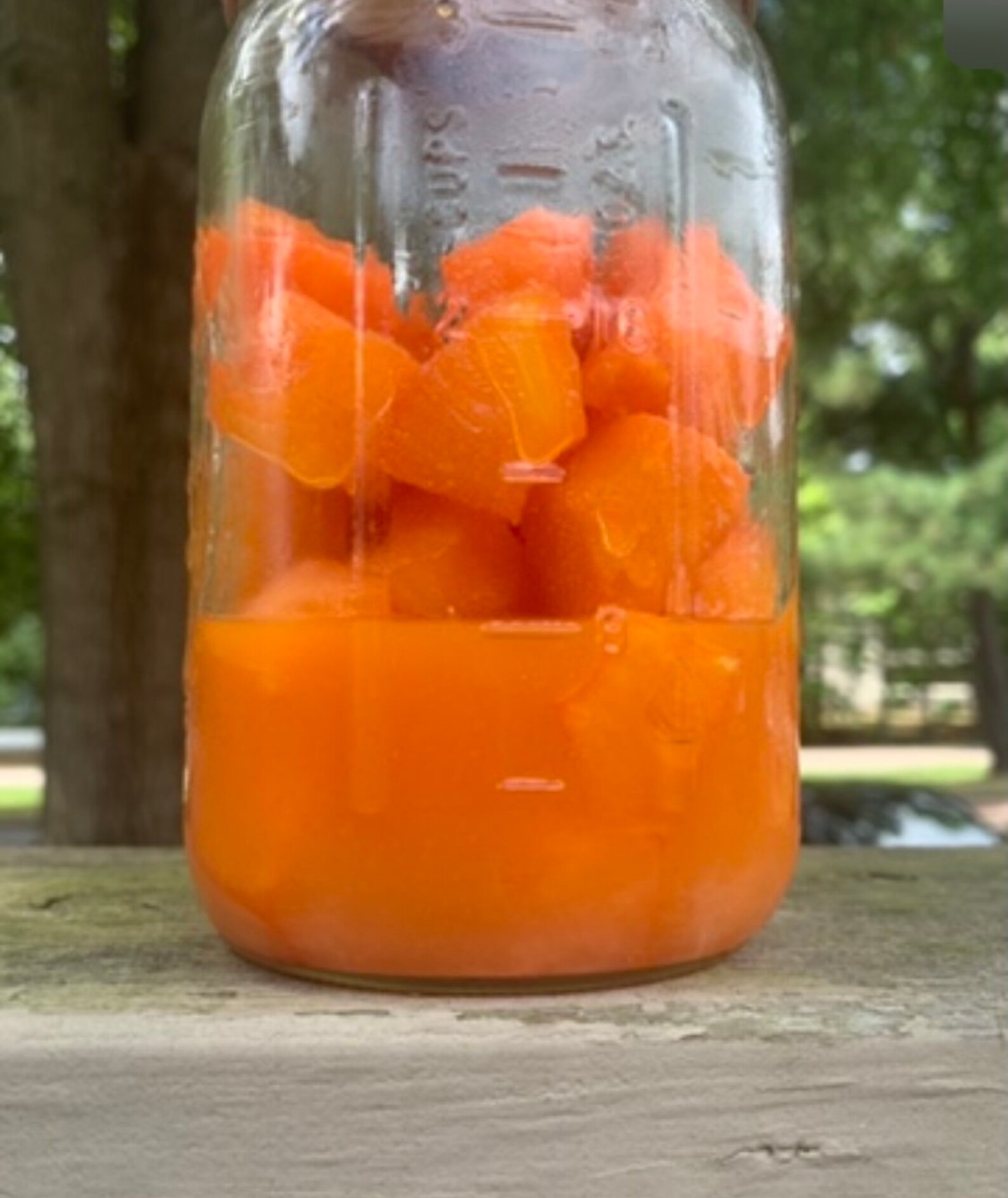 KoolAid Pineapples Etsy