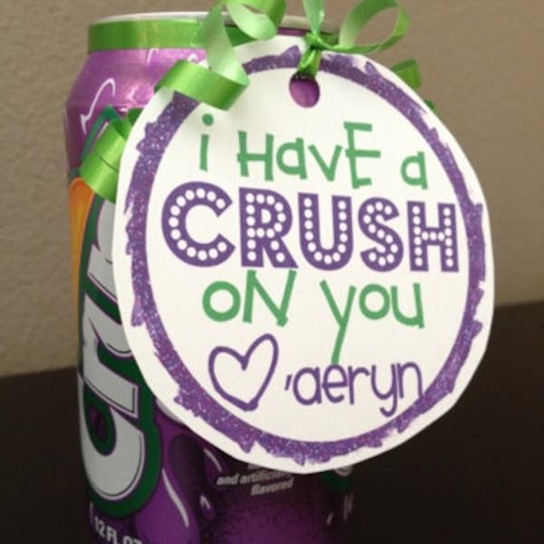 I have a Crush on You Soda Can Valentine Printable- Instant download- Crush Valentine's Printable- Crush soda printable -crush soda card