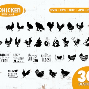 30 Chicken Svg Bundle | Chicken Mega Svg Bundle, Chicken Svg, Chicken Clipart, Chicken Svg Bundle Hand Drawn, Chicken Silhouette, Hen Svg