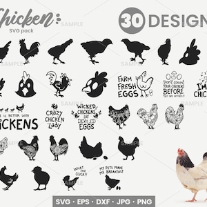 30 Chicken SVG Bundle | Hen Svg, Rooster Svg, Chicken Svg Funny, Chicken Clipart, Chicken Svg Bundle Hand Drawn, Chicken Silhouette, Hen Svg