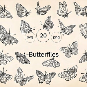 Butterfly svg, butterfly svg bundle, layered butterfly svg cricut files, butterflies, butterfly svg for cricut, butterfly clipart
