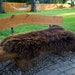 see more listings in the Natural Sheepskin section