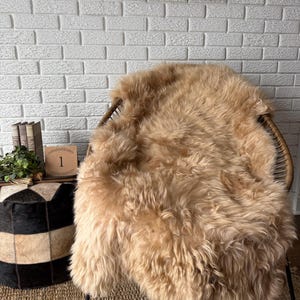 May include: A tan sheepskin rug draped over a wicker chair. The rug has long, soft fur. A black and white striped ottoman and a framed picture of sheep are in the background. A small wooden block with the number 1 is also visible.