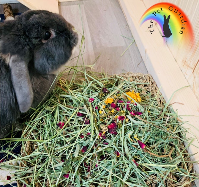 Forage Mix Rabbit Forage Treat Mix Etsy