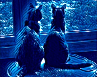 Cats