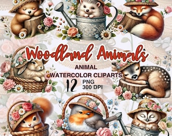 Waldtier Aquarell Clipart Sammlung wunderliche Waldkreatur Designs für Kinderzimmer und Kunsthandwerk