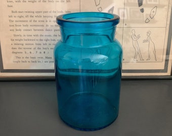 Vintage Blue Glass Apothecary Belgian Jar Bottle Vase