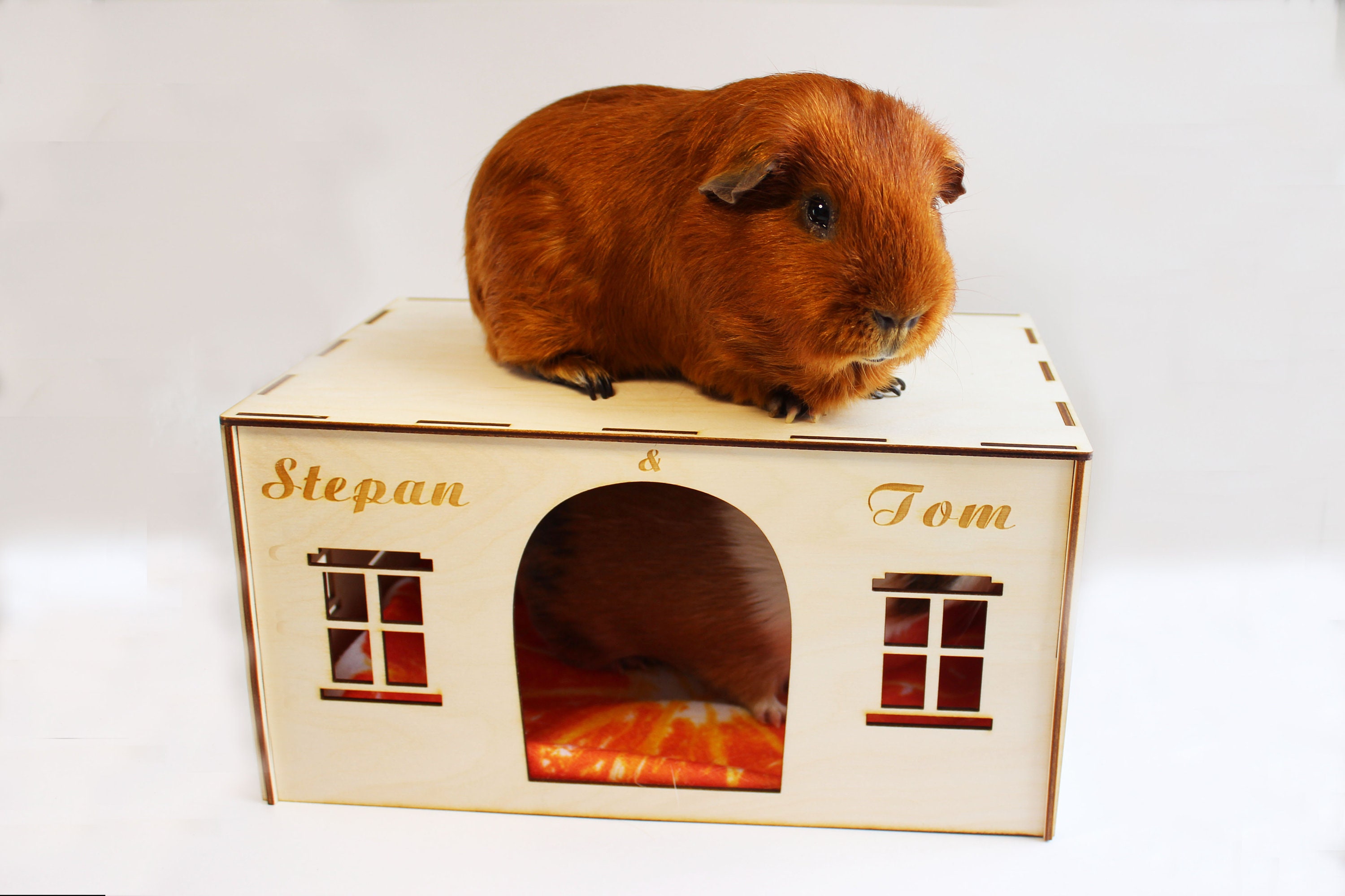 Personalized pet supplies. Custom guinea pig house. Etsy