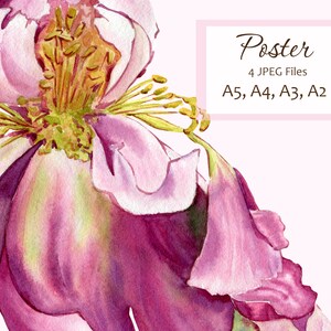 Peony painting / flower wall art, watercolor botanical poster, peonies print, instant download