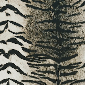 Tissu velours de luxe à motif tigre, Rembourrage par mètre, Tissu animal au mètre, Tissu velours pour rideaux, Tissu pour chaises, Tissus pour canapés