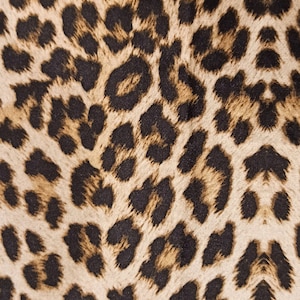 Sample Luxury Animal Print Upholstery Velvet Fabric Velvet - Etsy