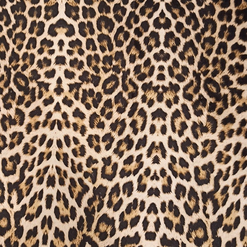 Leopard Velvet Upholstery Fabric - Etsy