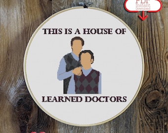 Learned Doctors Cross Stitch Pattern | Stepbrothers Movie | Funny Cross Stitch | Doctorate Gifts | Comedy Cross Stitch | Graduation Gift